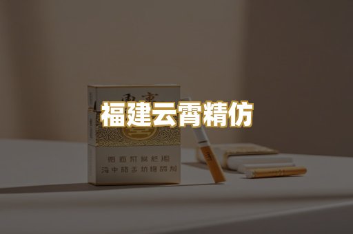 福建云霄精仿